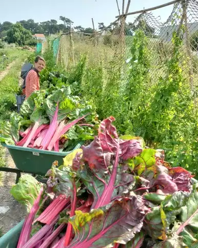 permaculture et wwoofing